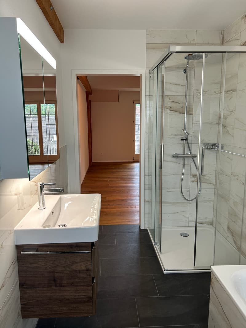 Modern and spacious attic apartment with single-family house character - first occupancy after roof renovation (5)