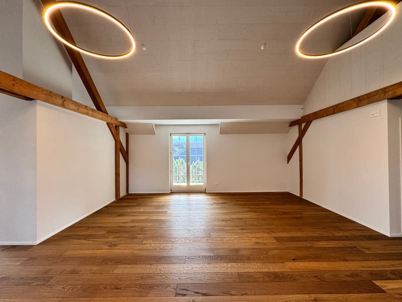 Modern and spacious attic apartment with single-family house character - first occupancy after roof renovation (3)