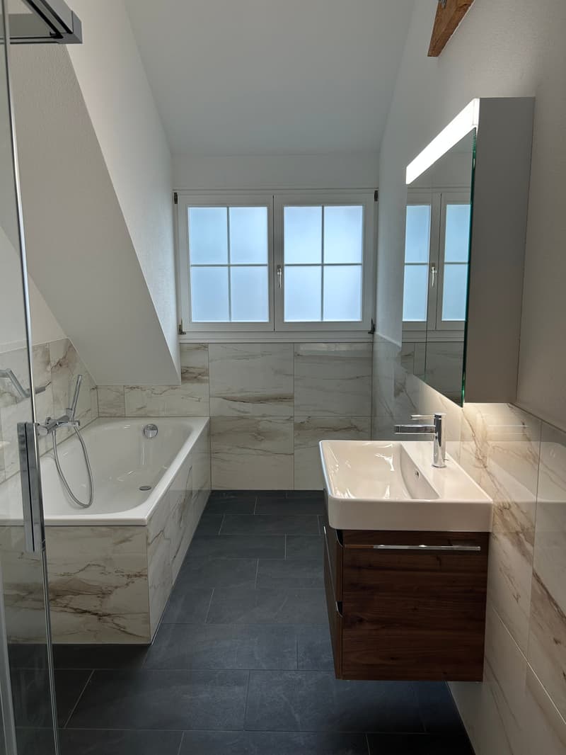 Modern and spacious attic apartment with single-family house character - first occupancy after roof renovation (4)