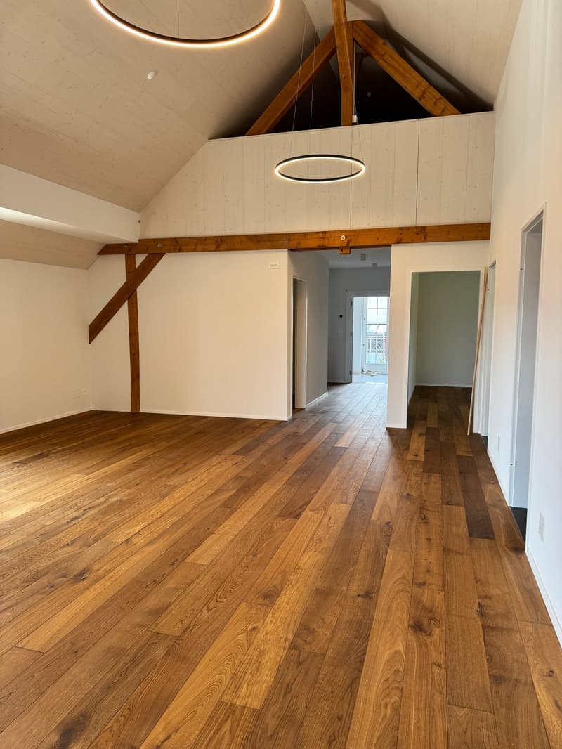 Modern and spacious attic apartment with single-family house character - first occupancy after roof renovation (8)
