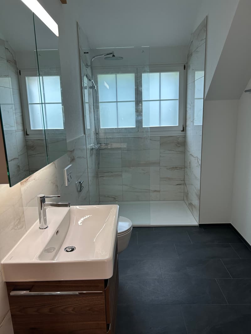 Modern and spacious attic apartment with single-family house character - first occupancy after roof renovation (6)