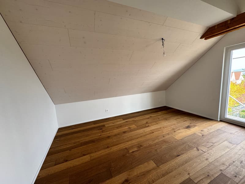 Modern and spacious attic apartment with single-family house character - first occupancy after roof renovation (12)