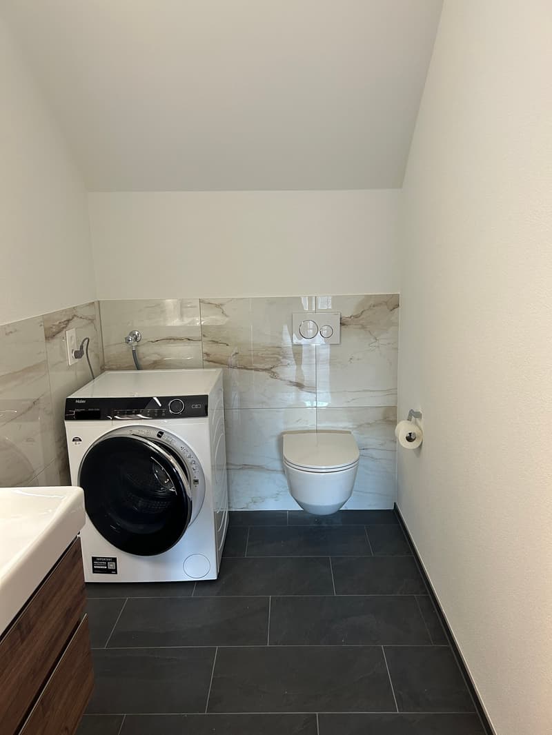 Modern and spacious attic apartment with single-family house character - first occupancy after roof renovation (7)
