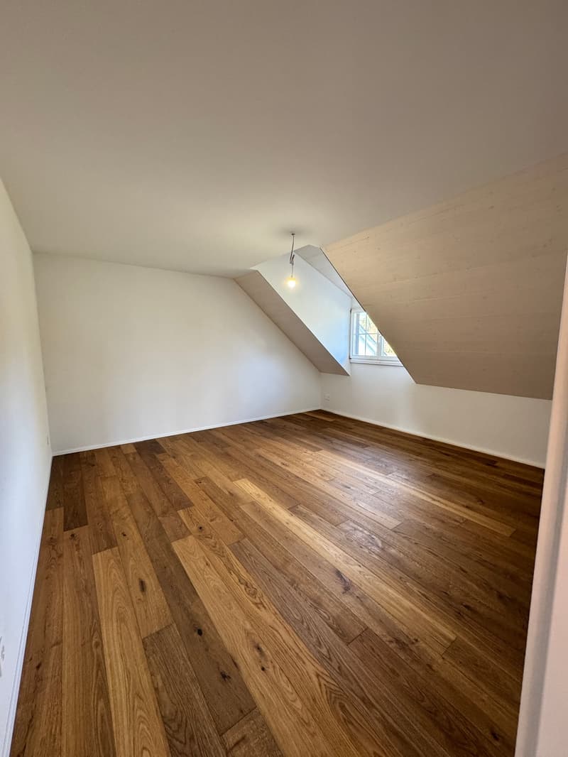 Modern and spacious attic apartment with single-family house character - first occupancy after roof renovation (9)