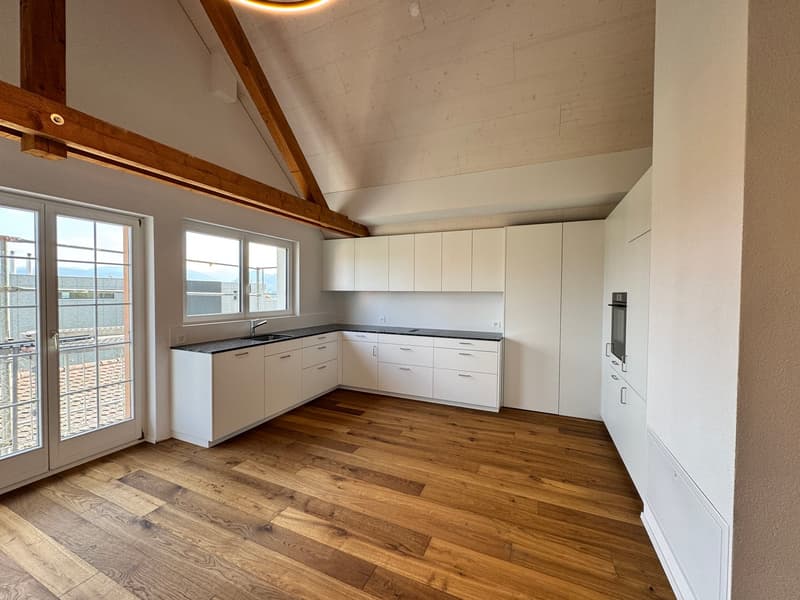 Modern and spacious attic apartment with single-family house character - first occupancy after roof renovation (2)