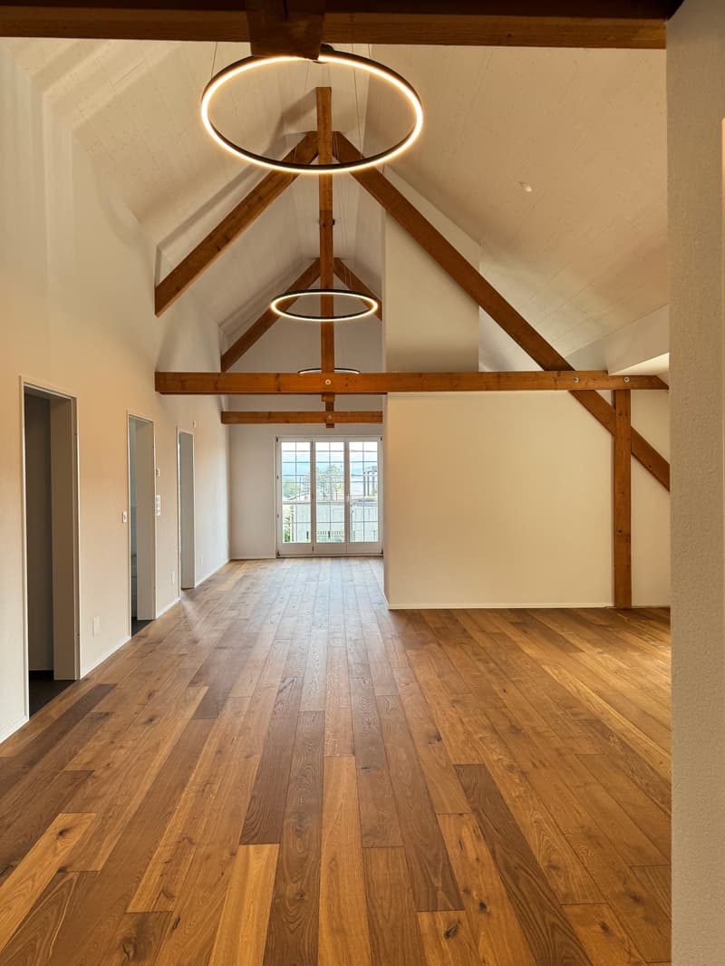 Modern and spacious attic apartment with single-family house character - first occupancy after roof renovation (1)