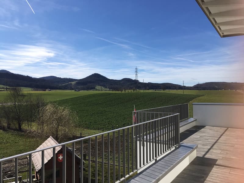 Exklusive 7-Zimmer-Maisonette-Dachwohnung mit grosser Terrasse & Panoramablick (3)