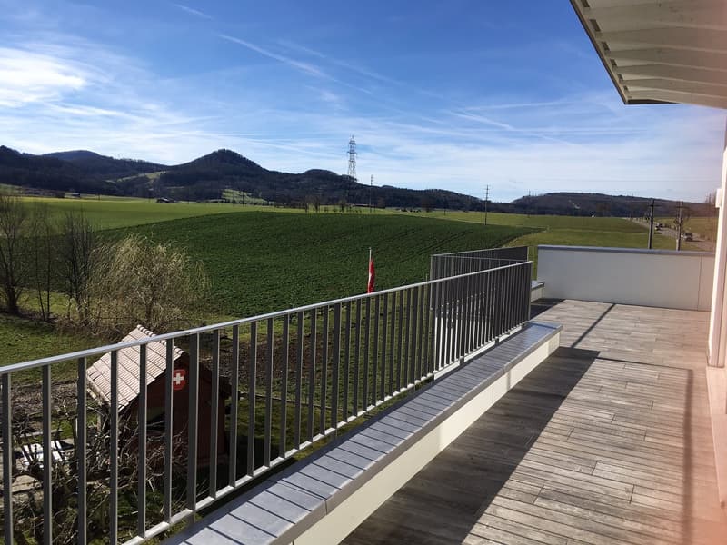 Exklusive 7-Zimmer-Maisonette-Dachwohnung mit grosser Terrasse & Panoramablick (6)