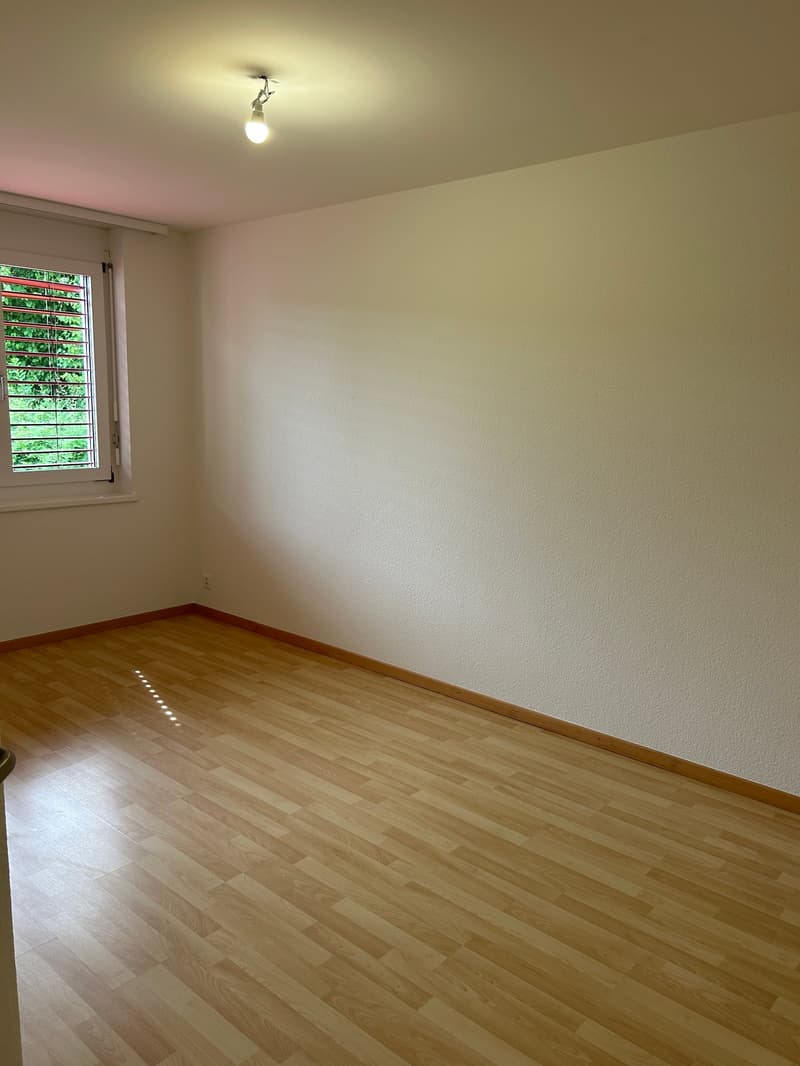 Appartamento ristrutturato in una zona tranquilla – luminoso & spazioso con balcone (12)