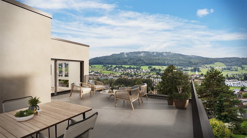 Neubau 5.5-ZI-EFH mit Attika-Geschoss / Reinach AG - Sonnenlage mit Weitblick (2)