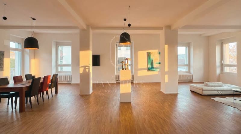 Erleben Sie auf 305 m² New York Loft Feeling am Zürichsee (2)