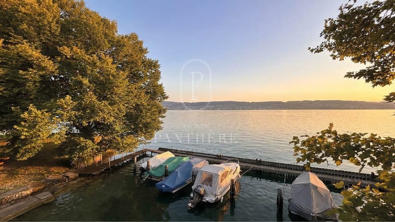 Erleben Sie auf 305 m² New York Loft Feeling am Zürichsee (1)