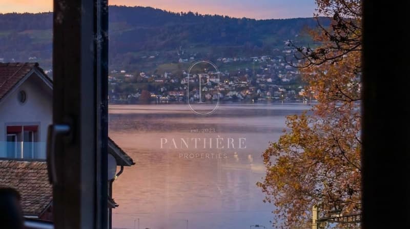 Erleben Sie auf 305 m² New York Loft Feeling am Zürichsee (6)