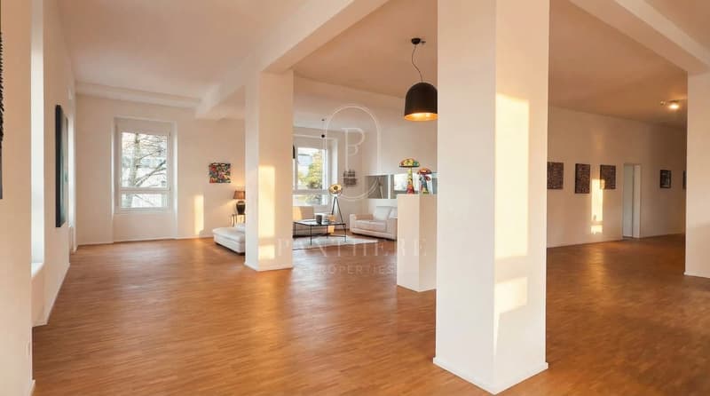 Erleben Sie auf 305 m² New York Loft Feeling am Zürichsee (3)