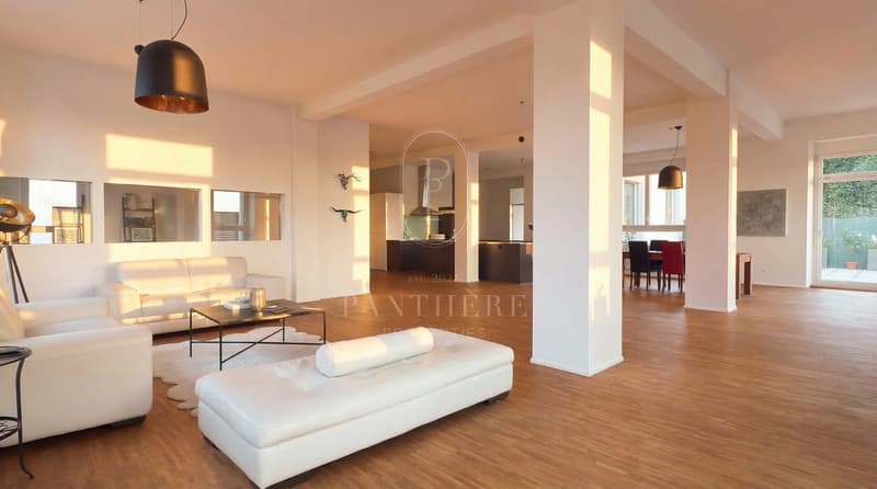 Experience 305 m² of New York Loft Feeling on Lake Zurich (3)