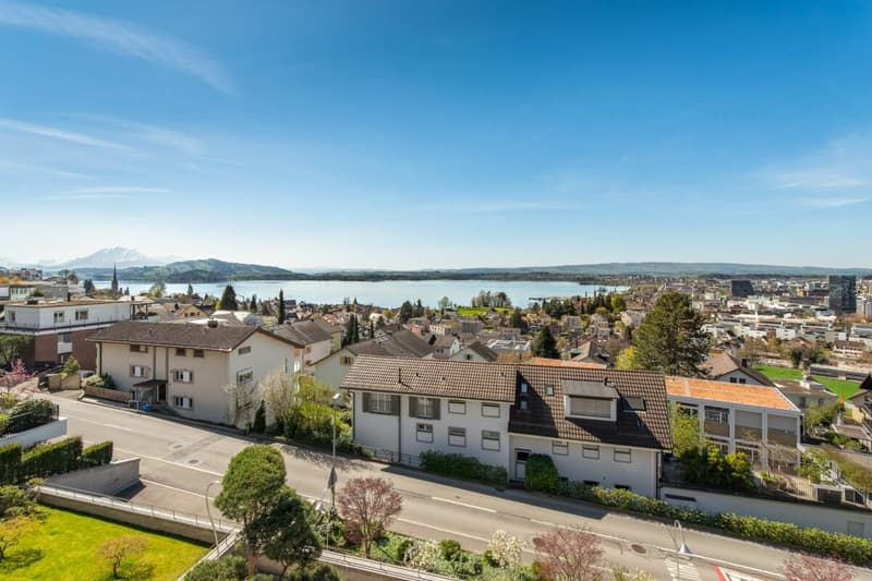 Exclusive 3.5 room luxury apartment with breathtaking lake view (19)
