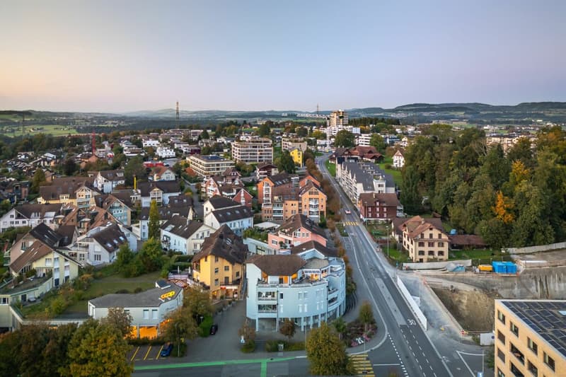 High-quality renovated 5 1/2-room attic apartment in the heart of Hünenberg (5)
