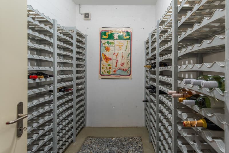 Maison unifamiliale de 6 1/2 pièces à Kilchberg dans un emplacement calme et ensoleillé sur une pente (18)