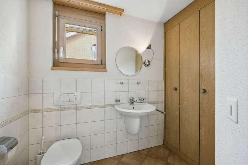 Spacious 6 1/2 room semi-detached house in Rotkreuz (18)