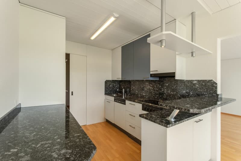 Apartment in the Green (7)