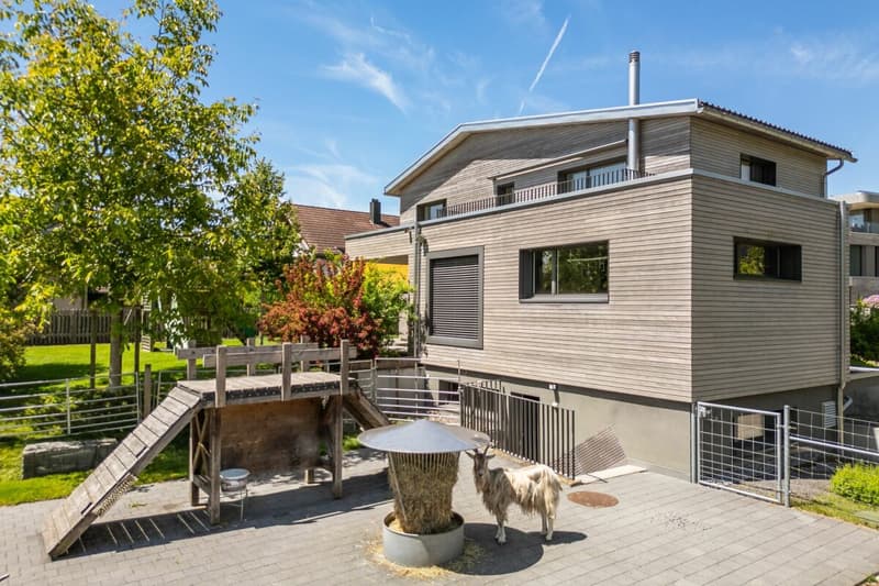 Dreamy beautiful single-family house with large surroundings (3)