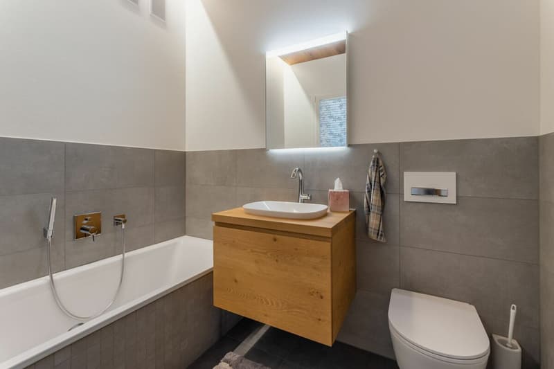 Dreamy beautiful single-family house with large surroundings (20)