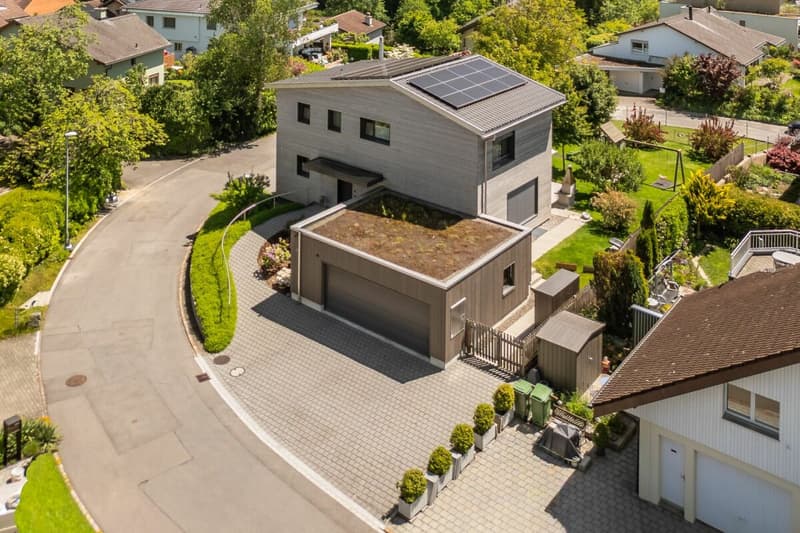 Dreamy beautiful single-family house with large surroundings (2)
