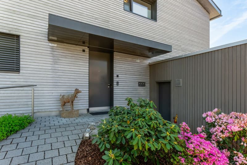 Dreamy beautiful single-family house with large surroundings (14)