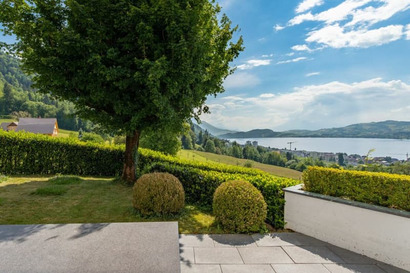 Vivre avec une vue imprenable sur le lac ! (14)