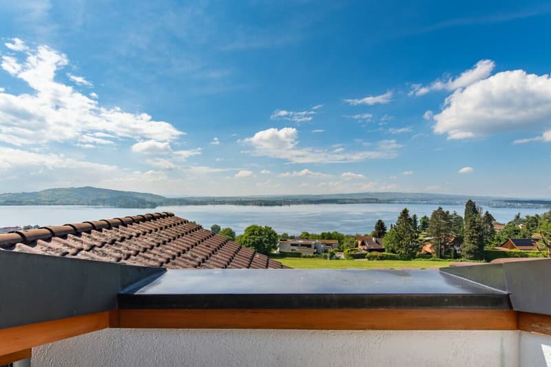 Vivre avec une vue imprenable sur le lac ! (19)