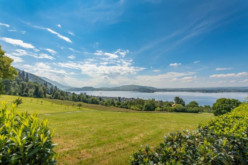 Vivre avec une vue imprenable sur le lac ! (20)