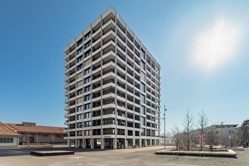 Un rêve de maison dans le quartier de Papieri (16)