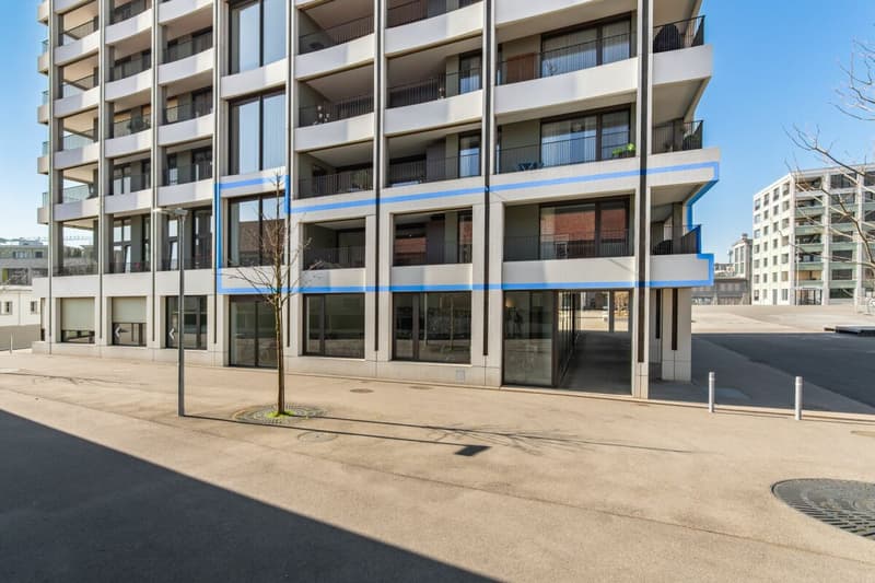 Un rêve de maison dans le quartier de Papieri (14)