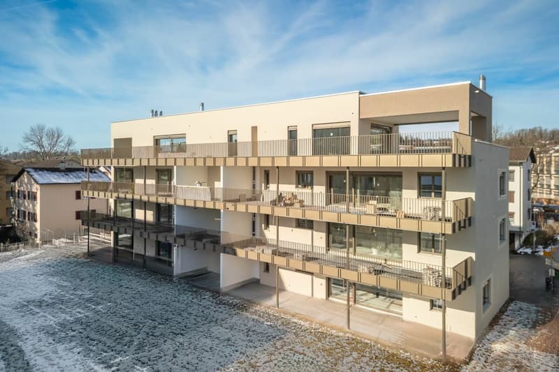 Topmoderne Attikawohnung mit Traumterrasse (13)