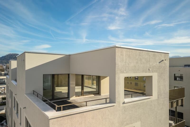 Topmoderne Attikawohnung mit Traumterrasse (12)