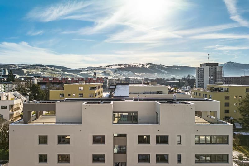 Topmoderne Attikawohnung mit Traumterrasse (10)