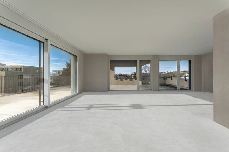 Topmoderne Attikawohnung mit Traumterrasse (2)