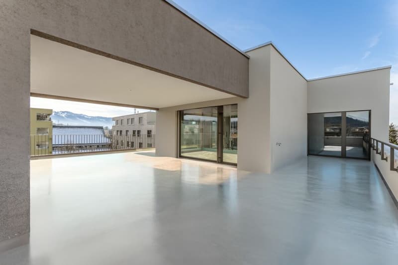 Topmoderne Attikawohnung mit Traumterrasse (7)