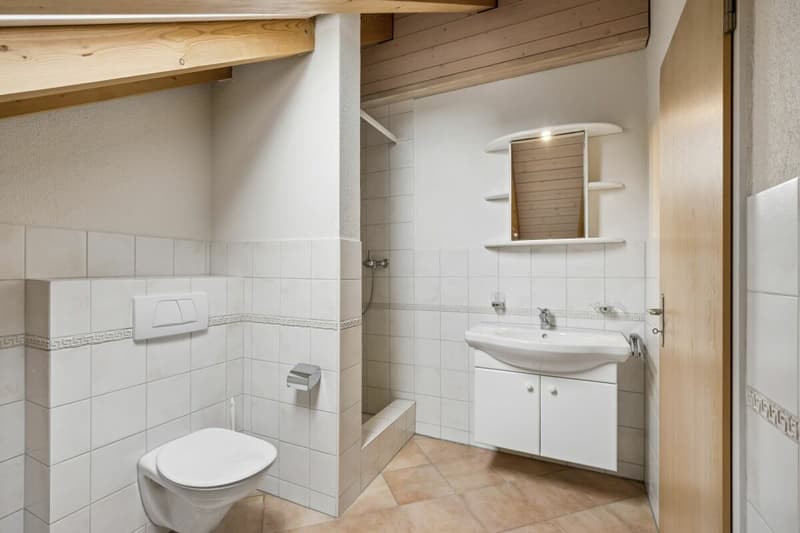 grosszügiges 6 1/2 Zimmer-Doppeleinfamilienhaus in Rotkreuz (31)