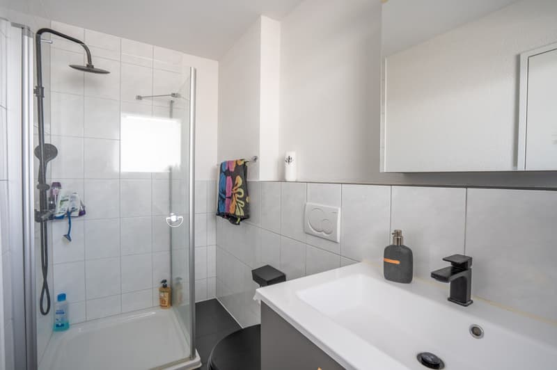 Charmantes 5.5-Zimmer-Doppeleinfamilienhaus in Schötz (14)