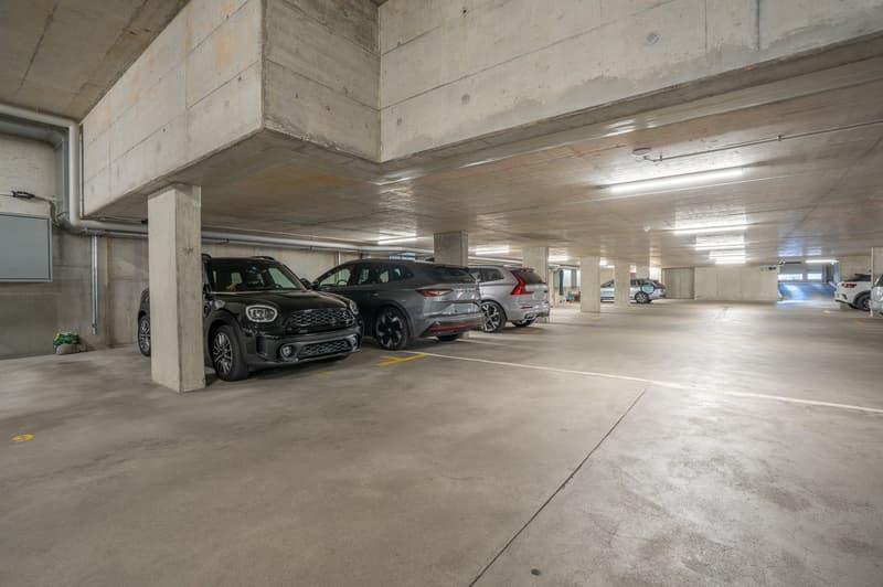 3.5-Zimmer-Attikawohnung mit Morgen- und Abendsonne – vor den Toren Zürichs (20)