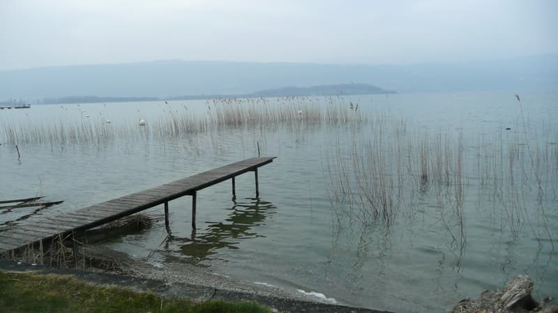 3 minutes on foot from the lake, 4.5-room apartment on the high ground floor in Lüscherz on Lake Biel (4)