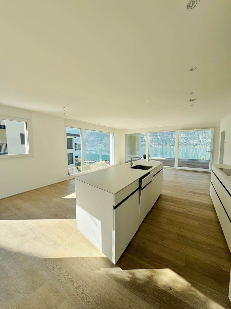 modern kitchen with island, large windows, modern appliances, wood floor, large open space