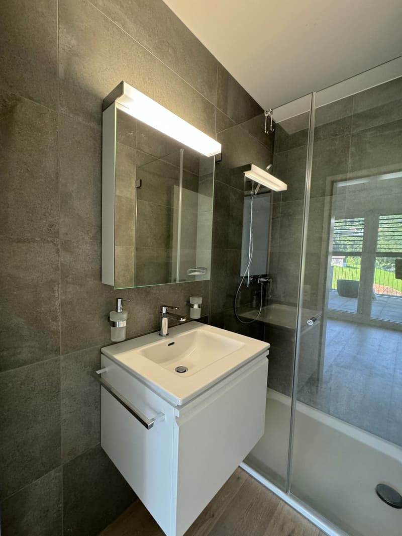 white sink, mirror with integrated light, glass shower enclosure, shower head, soap dispenser, faucet, gray tiled walls