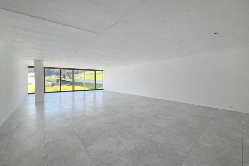Idéal pour les sociétés de fiducie, le conseil ou les cabinets – 101 m² d'espace de bureau avec aménagement sur mesure à Pfäffikon SZ (2)