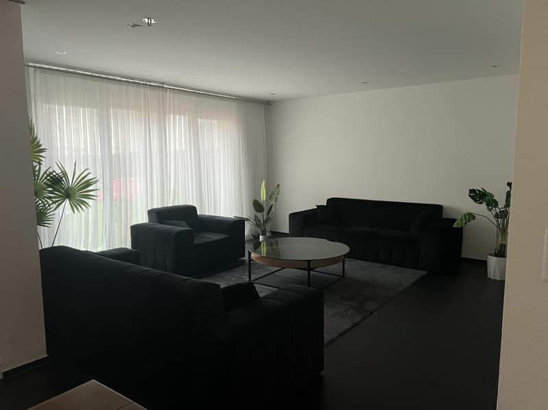 Beautiful Bright 4 1/2 Room Owner-Occupied Apartment (6)