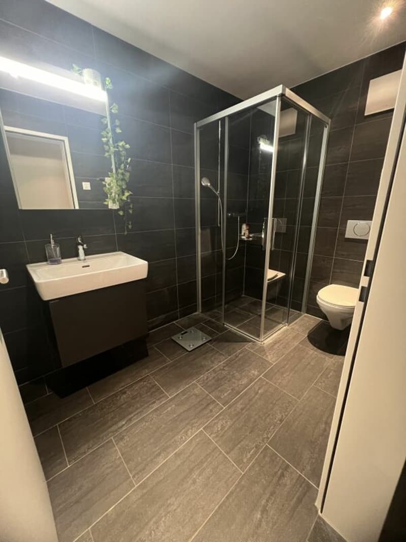 Beautiful Bright 4 1/2 Room Owner-Occupied Apartment (8)