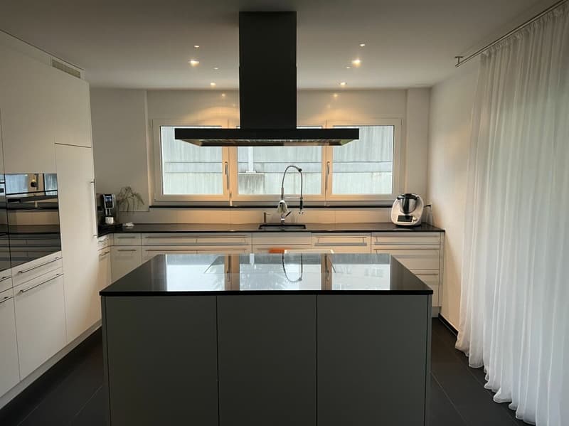 Beautiful Bright 4 1/2 Room Owner-Occupied Apartment (4)