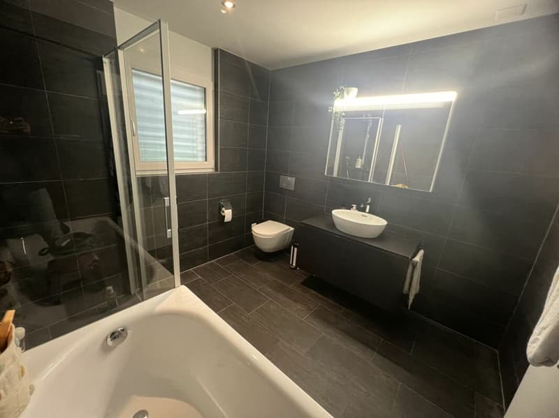 Beautiful Bright 4 1/2 Room Owner-Occupied Apartment (7)
