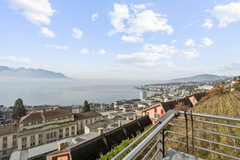 Meraviglioso appartamento a Montreux con vista impareggiabile sul lago e le Alpi (9)